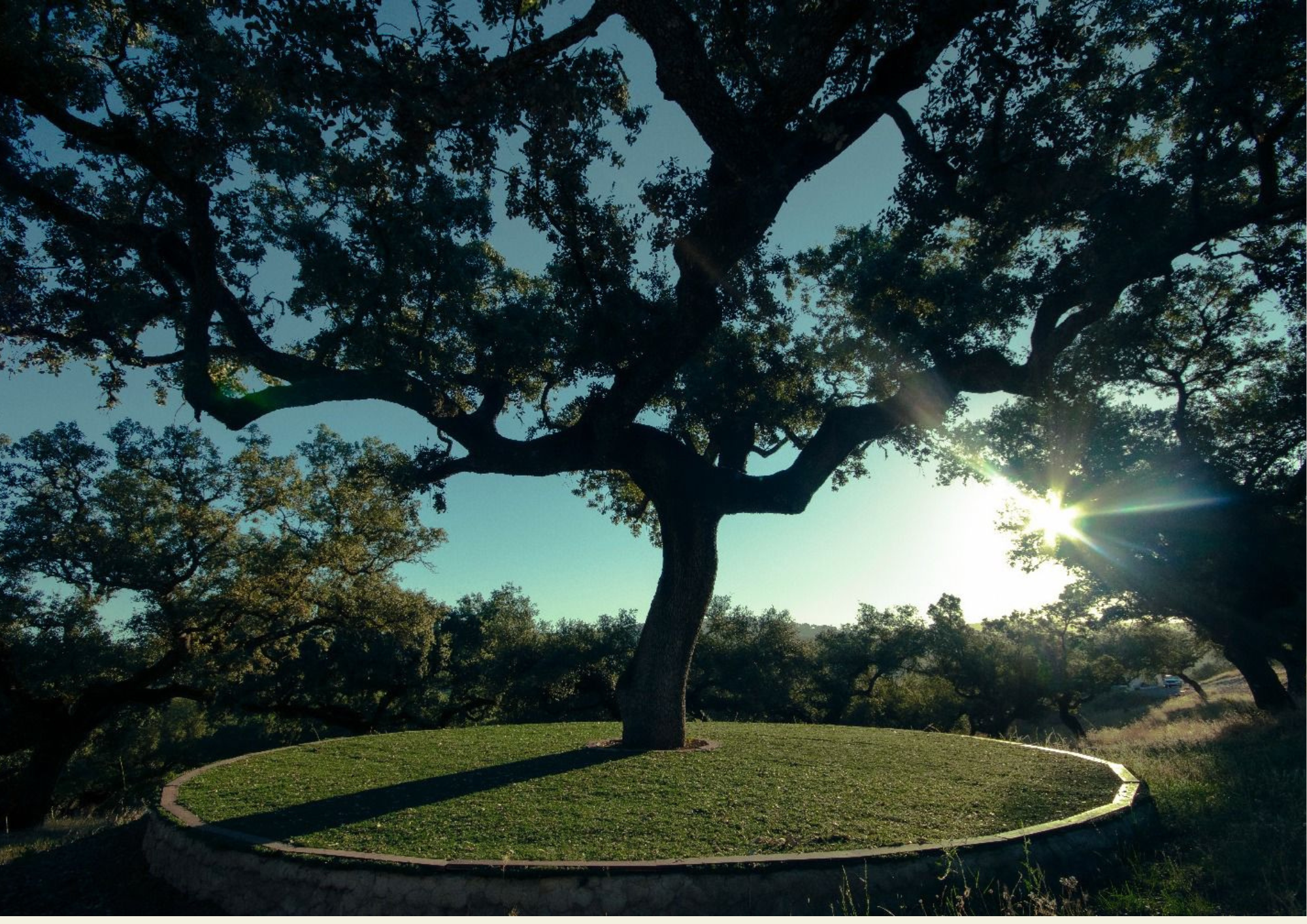 Retiro de macramé 2026 (reserva de plaza) - Imagen 6